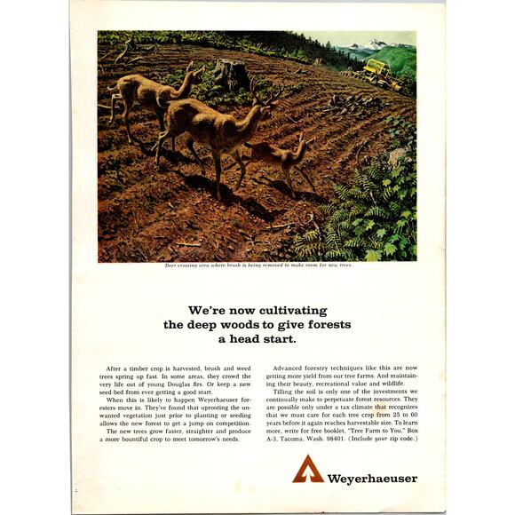 Weyerhaeuser Tree Farm to You Tacoma WA 1967 Magazine Ad SI7